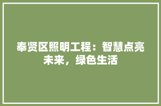 奉贤区照明工程：智慧点亮未来，绿色生活 现代风格装饰