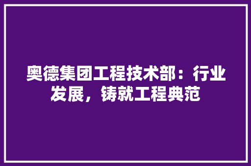 奥德集团工程技术部：行业发展，铸就工程典范 现代风格装饰