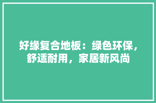 好缘复合地板：绿色环保，舒适耐用，家居新风尚 现代风格装饰