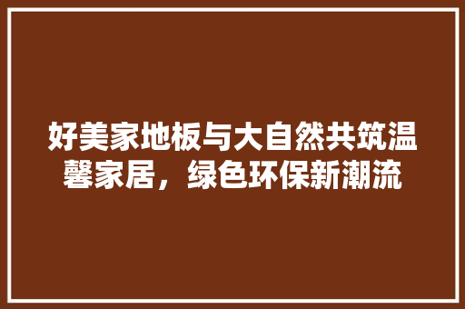 好美家地板与大自然共筑温馨家居，绿色环保新潮流 现代风格装饰