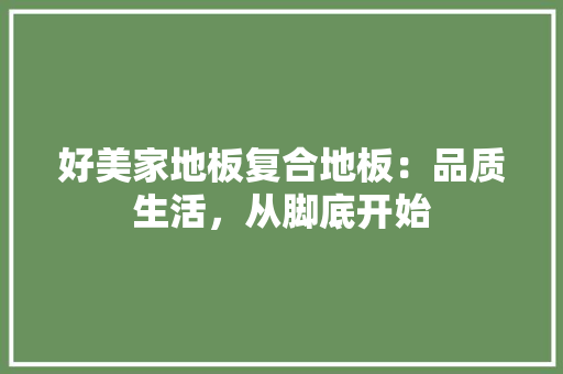 好美家地板复合地板：品质生活，从脚底开始 现代风格装饰