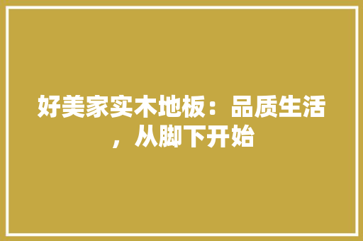 好美家实木地板：品质生活，从脚下开始 现代风格装饰
