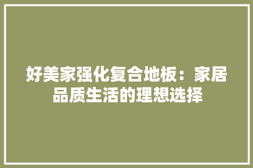 好美家强化复合地板：家居品质生活的理想选择 现代风格装饰