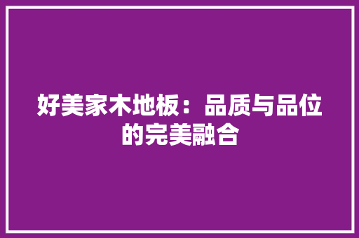 好美家木地板：品质与品位的完美融合 现代风格装饰