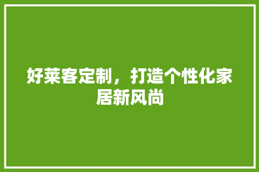 好莱客定制，打造个性化家居新风尚