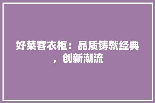 好莱客衣柜：品质铸就经典，创新潮流