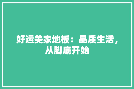 好运美家地板：品质生活，从脚底开始 现代风格装饰