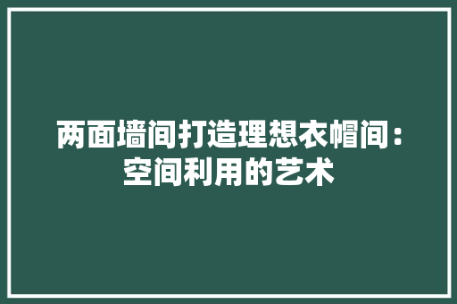 两面墙间打造理想衣帽间：空间利用的艺术 家居装修
