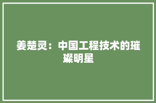 姜楚灵：中国工程技术的璀璨明星 现代风格装饰
