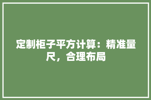定制柜子平方计算：精准量尺，合理布局 现代风格装饰