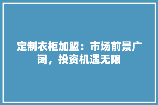 定制衣柜加盟：市场前景广阔，投资机遇无限 现代风格装饰