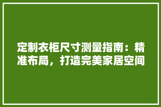 定制衣柜尺寸测量指南：精准布局，打造完美家居空间