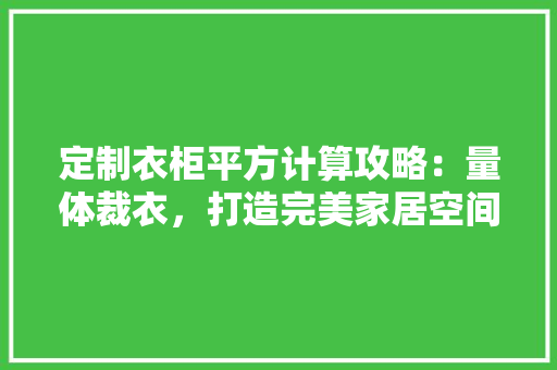 定制衣柜平方计算攻略：量体裁衣，打造完美家居空间 现代风格装饰