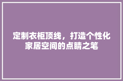 定制衣柜顶线，打造个性化家居空间的点睛之笔 现代风格装饰