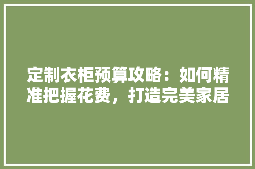 定制衣柜预算攻略：如何精准把握花费，打造完美家居空间 现代风格装饰