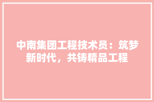 中南集团工程技术员：筑梦新时代，共铸精品工程 家居装修