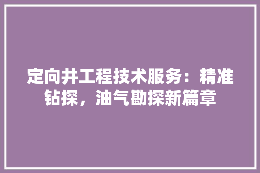 定向井工程技术服务：精准钻探，油气勘探新篇章 现代风格装饰
