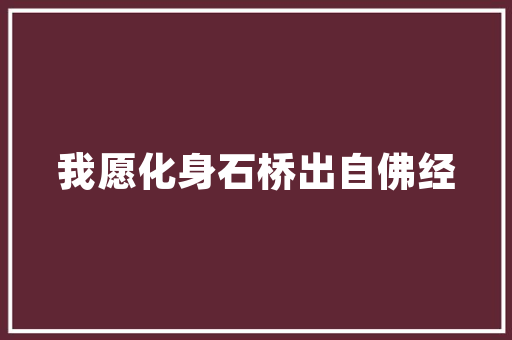 定西室内装修：品味生活，打造个性空间