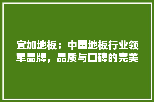 宜加地板：中国地板行业领军品牌，品质与口碑的完美结合 现代风格装饰