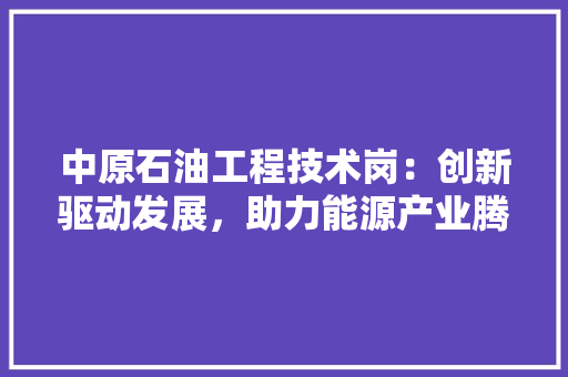 中原石油工程技术岗：创新驱动发展，助力能源产业腾飞
