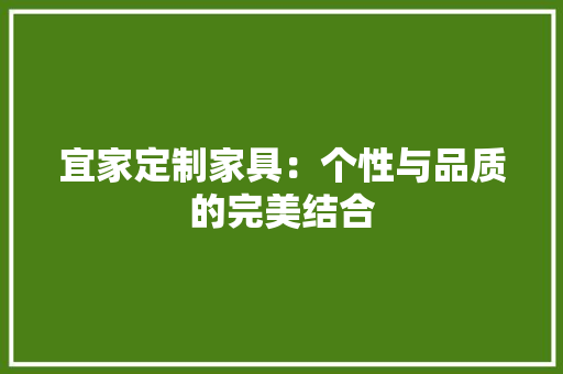 宜家定制家具：个性与品质的完美结合 现代风格装饰