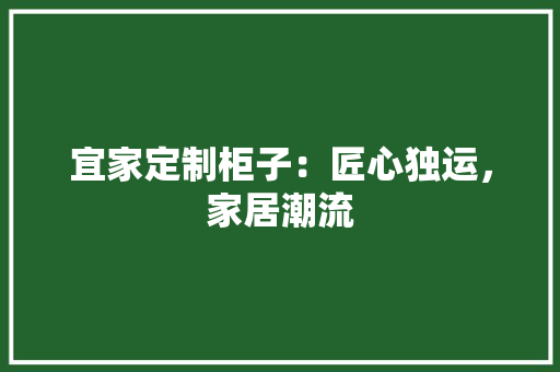 宜家定制柜子：匠心独运，家居潮流 现代风格装饰