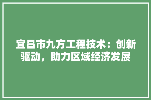 宜昌市九方工程技术：创新驱动，助力区域经济发展