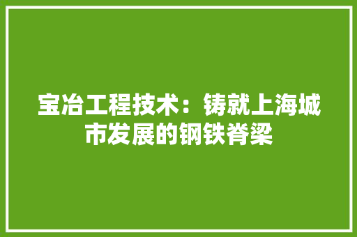 宝冶工程技术：铸就上海城市发展的钢铁脊梁 现代风格装饰