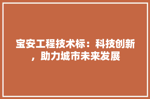 宝安工程技术标：科技创新，助力城市未来发展 现代风格装饰