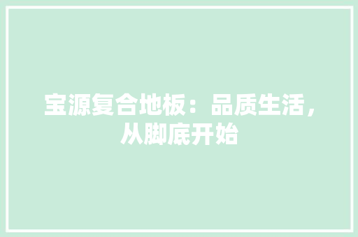 宝源复合地板：品质生活，从脚底开始 现代风格装饰