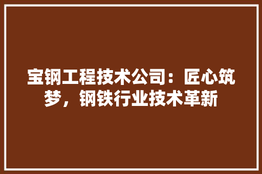 宝钢工程技术公司：匠心筑梦，钢铁行业技术革新