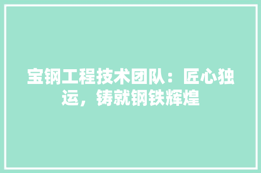 宝钢工程技术团队：匠心独运，铸就钢铁辉煌