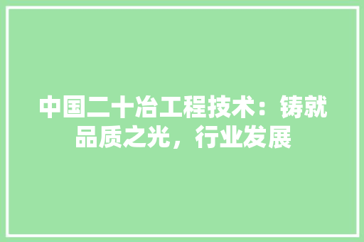 中国二十冶工程技术：铸就品质之光，行业发展 家居装修