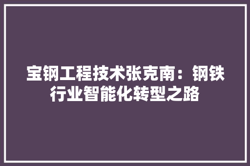 宝钢工程技术张克南：钢铁行业智能化转型之路