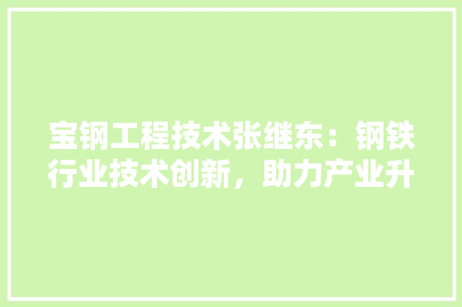 宝钢工程技术张继东：钢铁行业技术创新，助力产业升级 现代风格装饰