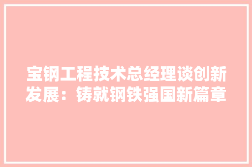宝钢工程技术总经理谈创新发展：铸就钢铁强国新篇章 现代风格装饰