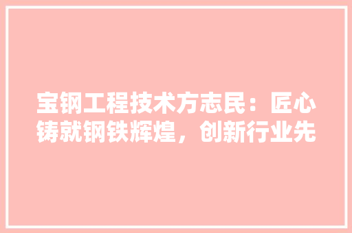 宝钢工程技术方志民：匠心铸就钢铁辉煌，创新行业先锋 现代风格装饰