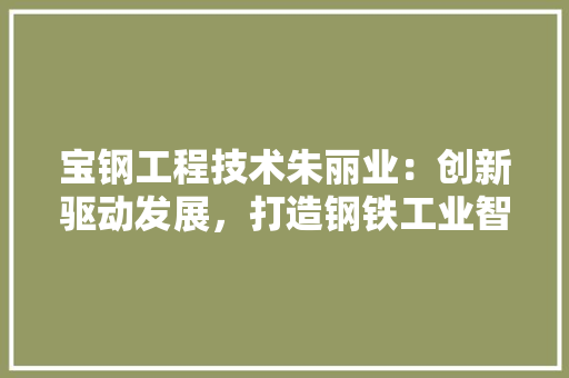 宝钢工程技术朱丽业：创新驱动发展，打造钢铁工业智能化新标杆 现代风格装饰