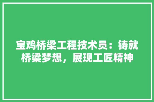 宝鸡桥梁工程技术员：铸就桥梁梦想，展现工匠精神 现代风格装饰