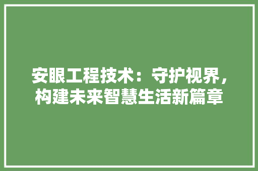 安眼工程技术：守护视界，构建未来智慧生活新篇章 现代风格装饰