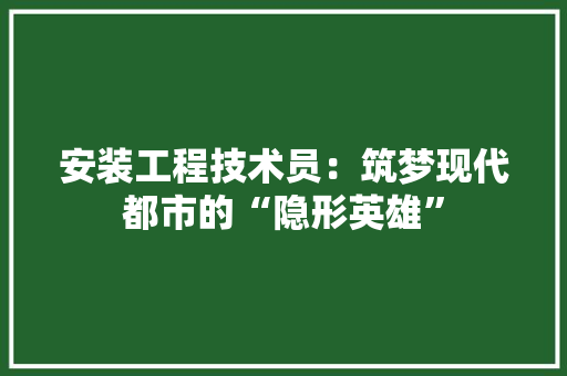 安装工程技术员：筑梦现代都市的“隐形英雄” 现代风格装饰