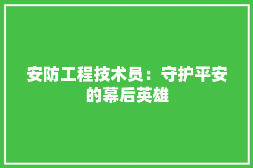 安防工程技术员：守护平安的幕后英雄 现代风格装饰