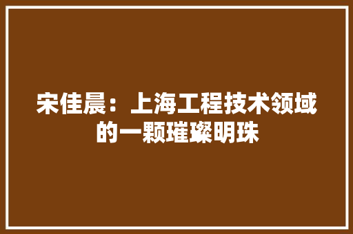 宋佳晨：上海工程技术领域的一颗璀璨明珠 现代风格装饰