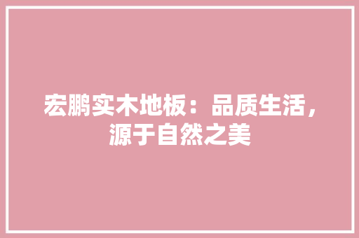 宏鹏实木地板：品质生活，源于自然之美 现代风格装饰