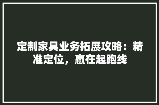 定制家具业务拓展攻略：精准定位，赢在起跑线 现代风格装饰