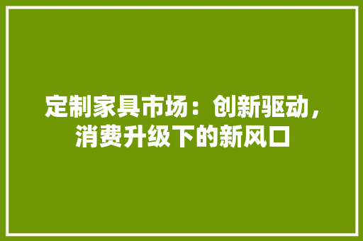 定制家具市场：创新驱动，消费升级下的新风口 现代风格装饰