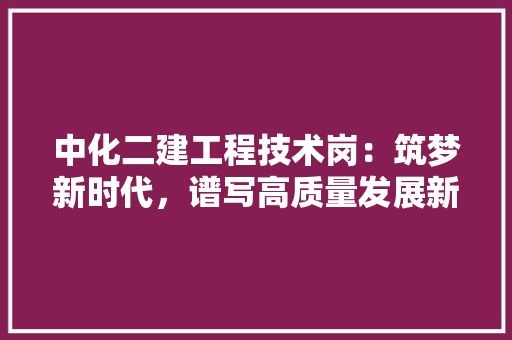 中化二建工程技术岗：筑梦新时代，谱写高质量发展新篇章 家居装修