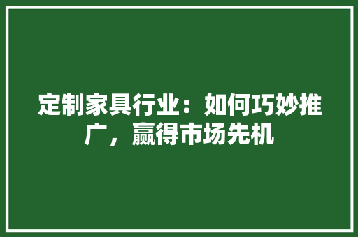定制家具行业：如何巧妙推广，赢得市场先机 现代风格装饰