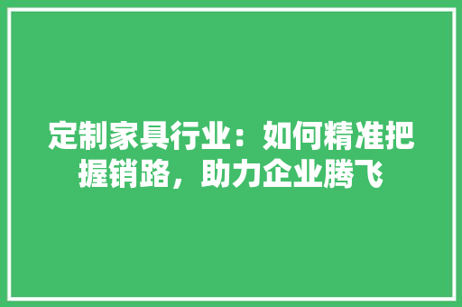 定制家具行业：如何精准把握销路，助力企业腾飞 现代风格装饰