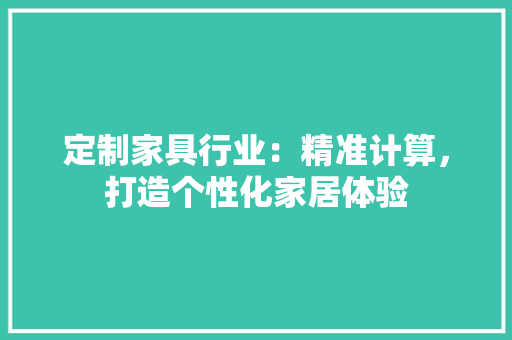 定制家具行业：精准计算，打造个性化家居体验 现代风格装饰